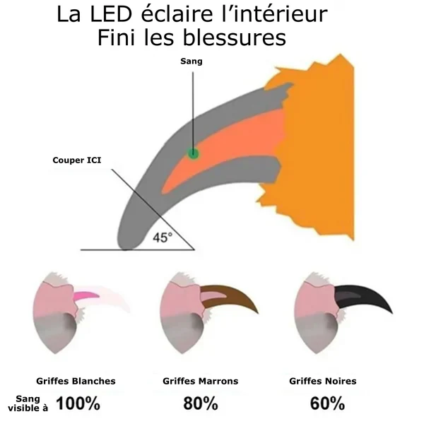 Coupe griffe Chat à LED Catgrip